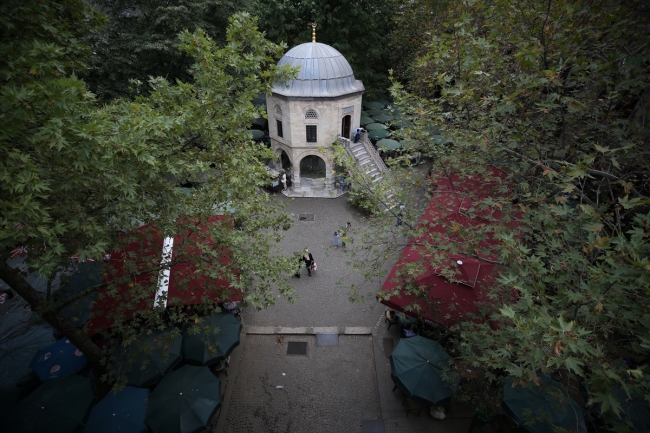 İlk payitaht Bursa'nın asırlara meydan okuyan çınarları